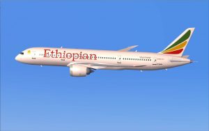 Ethiopian_Travel_Agency in silver spring md