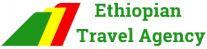 Ethiopian travel agency logo-web