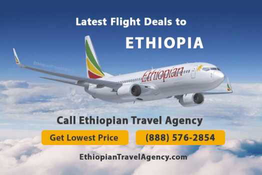 Ethiopian Travel Agency in VA