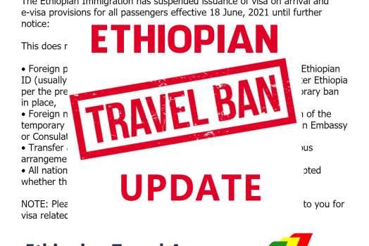 UPDATE: Ethiopia Temporary Ban On Visa on arrival and E-Visa options